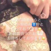 ヒメ日記 2025/04/05 08:16 投稿 かれん☆ CLUB PIAA