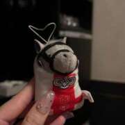 ヒメ日記 2025/09/08 23:41 投稿 かれん☆ CLUB PIAA