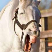 ヒメ日記 2025/09/24 20:23 投稿 かれん☆ CLUB PIAA