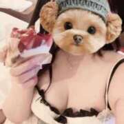 ヒメ日記 2025/11/27 22:44 投稿 向井あい☆美乳Eカップ19歳 ESTE ALLURE