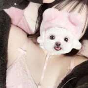 向井あい☆美乳Eカップ19歳 出勤♡ ESTE ALLURE