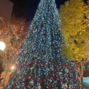 向井あい☆美乳Eカップ19歳 🎄 ESTE ALLURE