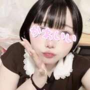 ヒメ日記 2026/06/12 22:11 投稿 向井あい☆美乳Eカップ19歳 ESTE ALLURE
