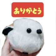 ヒメ日記 2026/06/02 22:41 投稿 ゆきの ミラー