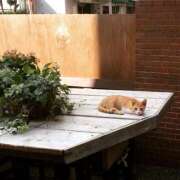 ヒメ日記 2025/02/23 22:02 投稿 河野　菜美 極みSPAネクサス東海(旧イマジン名古屋)