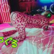 ヒメ日記 2026/02/14 13:41 投稿 体験いちこ ACCENT[アクセントグループ]