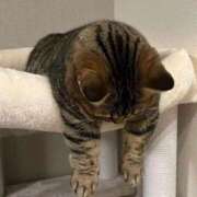 ヒメ日記 2025/08/27 16:46 投稿 みいな ドMバスターズ岡崎・安城・豊田店