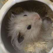 ヒメ日記 2025/09/02 16:39 投稿 ちびたん【梅田堂山女学院】 梅田堂山女学院