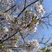 ヒメ日記 2026/04/09 16:41 投稿 ちびたん【梅田堂山女学院】 梅田堂山女学院