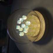 ヒメ日記 2026/04/29 14:53 投稿 ちびたん【梅田堂山女学院】 梅田堂山女学院