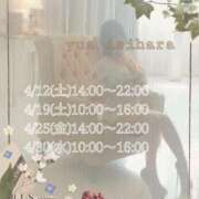 ヒメ日記 2025/04/07 07:18 投稿 石原　ゆあ 癒し娘診療所 水戸・ひたちなか店