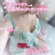 ヒメ日記 2025/11/17 08:09 投稿 横峯あきな 性感回春アロマSPA金沢店