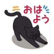 ヒメ日記 2025/01/14 06:14 投稿 安田 えみ 人妻の雫 岡山店