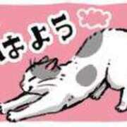 ヒメ日記 2025/01/18 06:24 投稿 安田 えみ 人妻の雫 岡山店