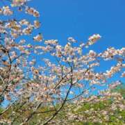 ヒメ日記 2025/05/02 06:04 投稿 安田 えみ 人妻の雫 岡山店