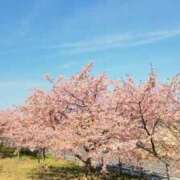 ヒメ日記 2026/03/17 16:24 投稿 安田 えみ 人妻の雫 岡山店