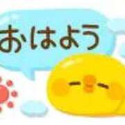 ヒメ日記 2026/05/26 05:34 投稿 安田 えみ 人妻の雫 岡山店