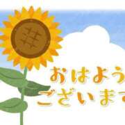 ヒメ日記 2026/08/08 05:44 投稿 安田 えみ 人妻の雫 岡山店