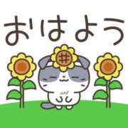 ヒメ日記 2026/08/24 05:24 投稿 安田 えみ 人妻の雫 岡山店