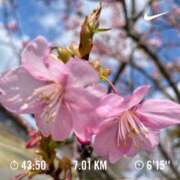 ヒメ日記 2024/03/01 14:03 投稿 森 のぞみ 人妻の雫 岡山店