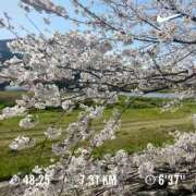 ヒメ日記 2025/04/07 17:34 投稿 森 のぞみ 人妻の雫 岡山店