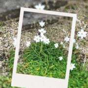 ヒメ日記 2025/04/16 13:34 投稿 しずか 人妻の雫 岡山店