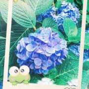 ヒメ日記 2025/06/10 13:24 投稿 しずか 人妻の雫 岡山店