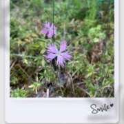 ヒメ日記 2025/08/04 10:34 投稿 しずか 人妻の雫 岡山店