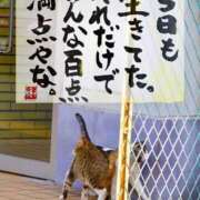 ヒメ日記 2025/09/01 20:24 投稿 しずか 人妻の雫 岡山店