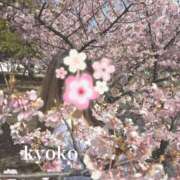 ヒメ日記 2025/04/01 14:44 投稿 きょうこ【プレミアキャスト】 人妻の雫 岡山店