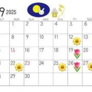 ヒメ日記 2025/09/10 14:34 投稿 きょうこ【プレミアキャスト】 人妻の雫 岡山店