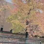 ヒメ日記 2024/12/15 09:44 投稿 森下 莉華 人妻の雫 岡山店