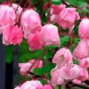 ヒメ日記 2025/03/01 18:04 投稿 森下 莉華 人妻の雫 岡山店