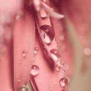 ヒメ日記 2025/03/16 03:04 投稿 森下 莉華 人妻の雫 岡山店