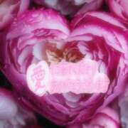 ヒメ日記 2025/03/17 09:02 投稿 森下 莉華 人妻の雫 岡山店