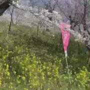 ヒメ日記 2025/04/05 07:24 投稿 森下 莉華 人妻の雫 岡山店