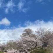 ヒメ日記 2025/04/06 12:05 投稿 森下 莉華 人妻の雫 岡山店