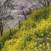 ヒメ日記 2025/04/22 10:14 投稿 森下 莉華 人妻の雫 岡山店