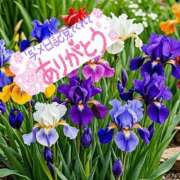 ヒメ日記 2025/05/17 10:54 投稿 森下 莉華 人妻の雫 岡山店