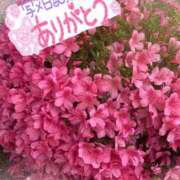 ヒメ日記 2025/06/03 07:07 投稿 森下 莉華 人妻の雫 岡山店