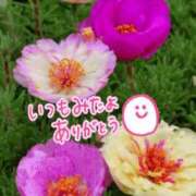 ヒメ日記 2025/06/10 11:34 投稿 森下 莉華 人妻の雫 岡山店