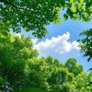 ヒメ日記 2025/06/12 10:44 投稿 森下 莉華 人妻の雫 岡山店