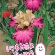 ヒメ日記 2025/06/21 06:24 投稿 森下 莉華 人妻の雫 岡山店