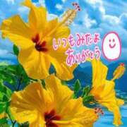 ヒメ日記 2025/07/02 05:54 投稿 森下 莉華 人妻の雫 岡山店