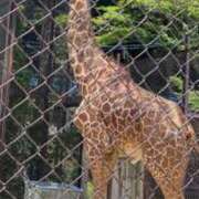 ヒメ日記 2025/07/16 16:14 投稿 森下 莉華 人妻の雫 岡山店