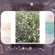 ヒメ日記 2025/08/20 13:14 投稿 森下 莉華 人妻の雫 岡山店