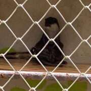 ヒメ日記 2025/09/06 17:24 投稿 森下 莉華 人妻の雫 岡山店