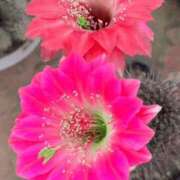 ヒメ日記 2025/10/22 20:54 投稿 森下 莉華 人妻の雫 岡山店