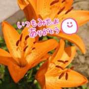 ヒメ日記 2025/10/25 08:44 投稿 森下 莉華 人妻の雫 岡山店