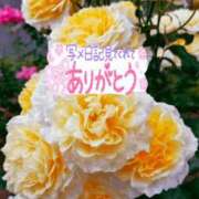 ヒメ日記 2025/10/30 08:38 投稿 森下 莉華 人妻の雫 岡山店